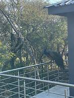 Kings View Exclusive Villas