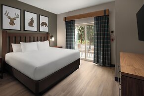 Great Wolf Lodge Webster