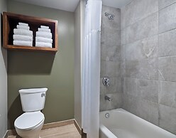 Great Wolf Lodge Webster