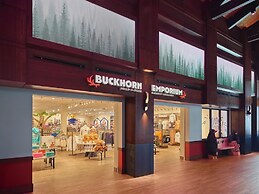 Great Wolf Lodge Webster