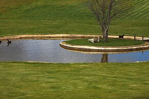 Liz's heart is in the sky