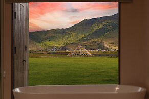 Liz's heart is in the sky