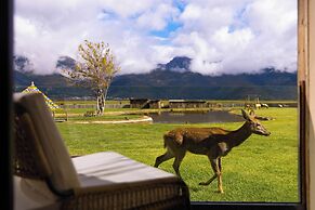 Liz's heart is in the sky