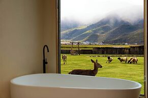 Liz's heart is in the sky