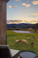 Liz's heart is in the sky