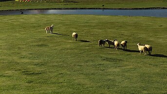 Liz's heart is in the sky