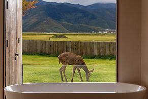 Liz's heart is in the sky