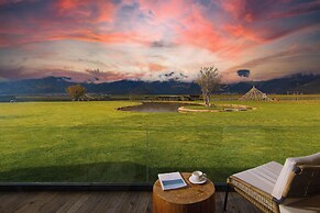 Liz's heart is in the sky