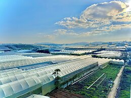 Japan Villa Homestay ByTheHill