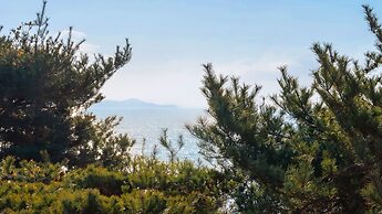 Ganghwa Raube Pet-friendly Pension