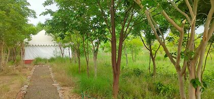 Kross Adventure Campsite