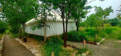 Kross Adventure Campsite