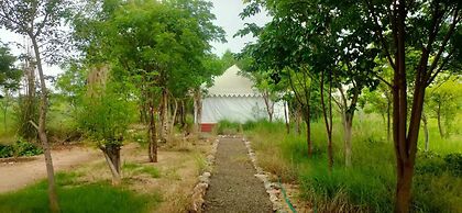 Kross Adventure Campsite