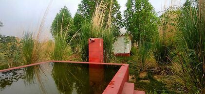 Kross Adventure Campsite