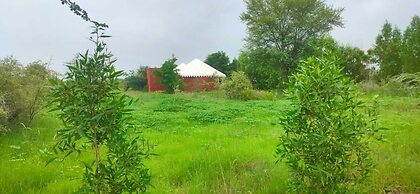 Kross Adventure Campsite