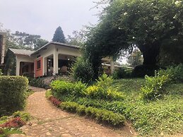 Ruwenzori View Guest House