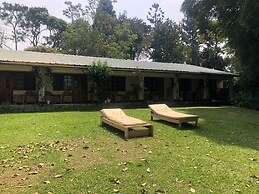 Ruwenzori View Guest House