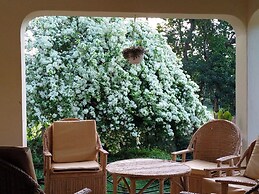 Ruwenzori View Guest House