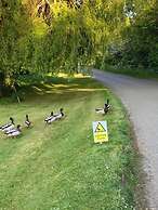Old Thatch Bambers Green