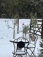 Old Thatch Bambers Green