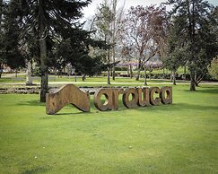 MS Collection Arouca Mosteiro de Arouca