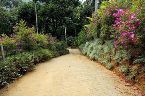 Garden of eden-Thottam