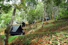 Garden of eden-Thottam