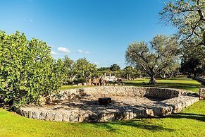Sopra i Sassi intera o singoli trulli