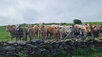 Seaside Bliss Retreat - 5 Bedroom House