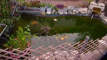 Le Clos des Passiflores