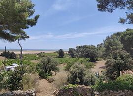 Relaxed Living in Valras-plage