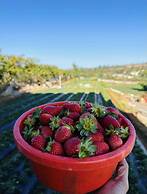 Manshas High-5 Resort