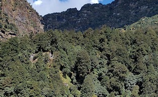 Amar Resort Chopta Tungnath