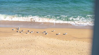 Goseong Beach Jin Spa Pension