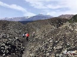 Central Station House Daniele