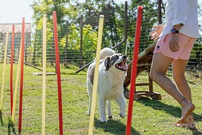 Podere Cascatelle & Agriletizia