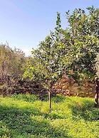 Villa Eleni - Private Pool Retreat Near Kardamili