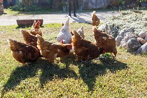 Agriturismo Agricamping GARDA NATURA