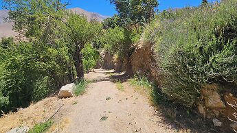 Oceana Suites Los Pipiolos