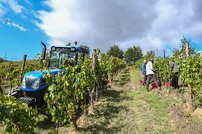 Pensieri di Cavatina