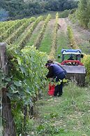 Pensieri di Cavatina