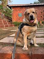 Chardara Agro Tourism