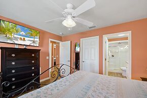 Sand Dollar on Miramar