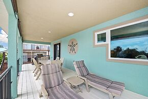 Sand Dollar on Miramar