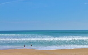 Sea Coast Gardens III 214