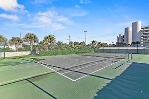 Errol by the Sea 515