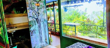 THE KODAI HAVEN