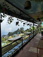 THE KODAI HAVEN