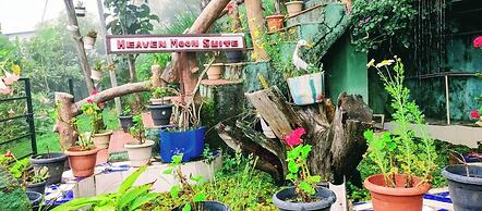 THE KODAI HAVEN