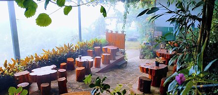 THE KODAI HAVEN